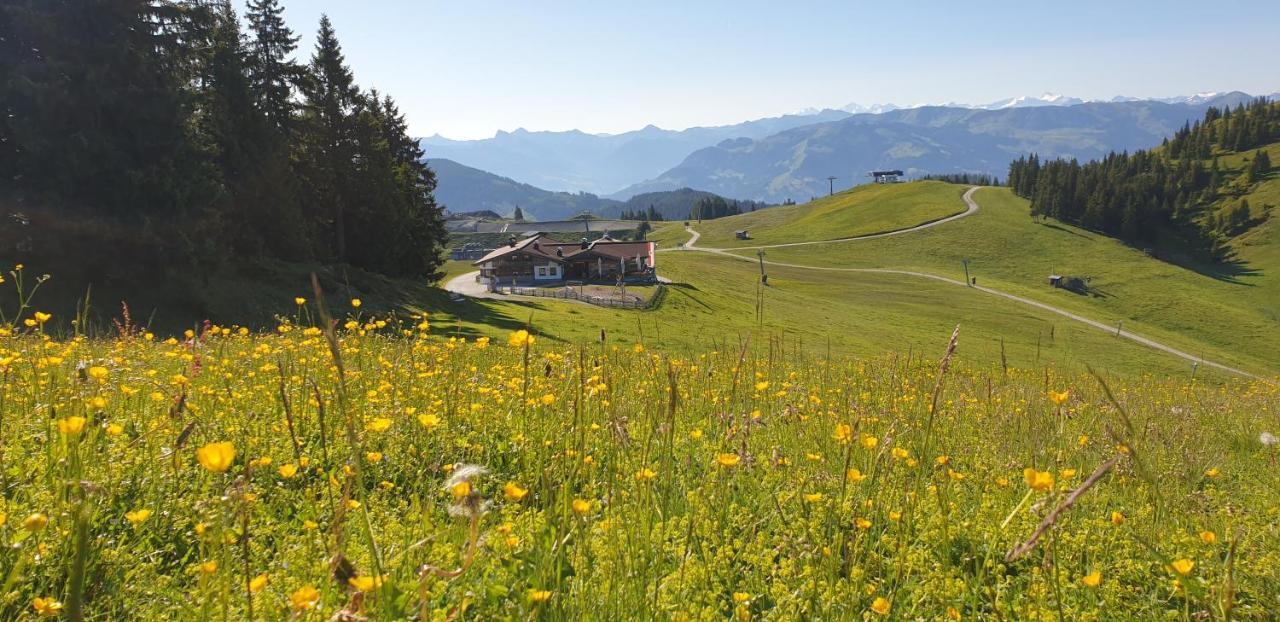Ferienwohnung Sappl Scheffau am Wilden Kaiser Exterior photo