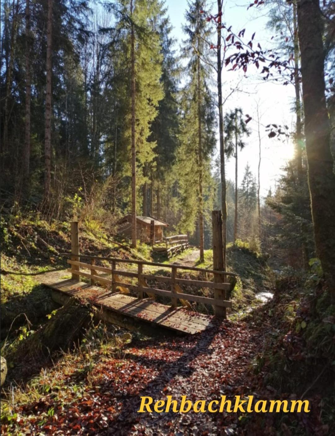 Ferienwohnung Sappl Scheffau am Wilden Kaiser Exterior photo